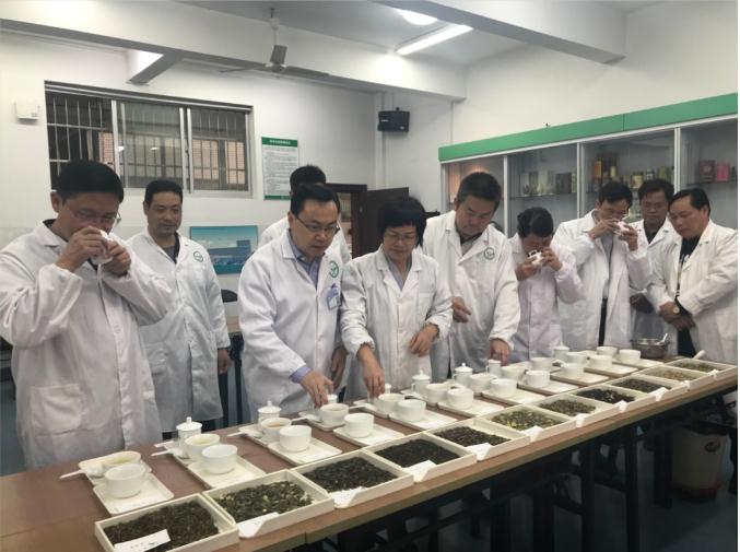 瀟湘茶業(yè)開展花茶審評和座談會，劉仲華院士等專家共謀花茶產(chǎn)業(yè)發(fā)展