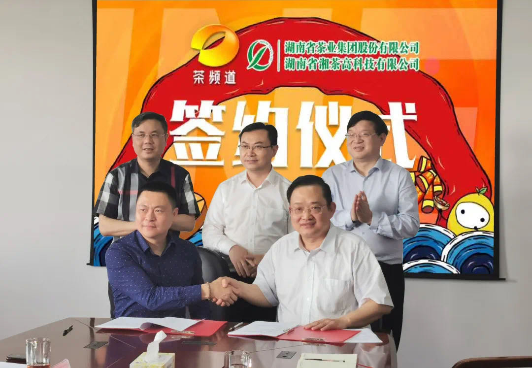 院士見(jiàn)證，輕輕茶發(fā)力品牌建設(shè)，與茶頻道達(dá)成深度合作