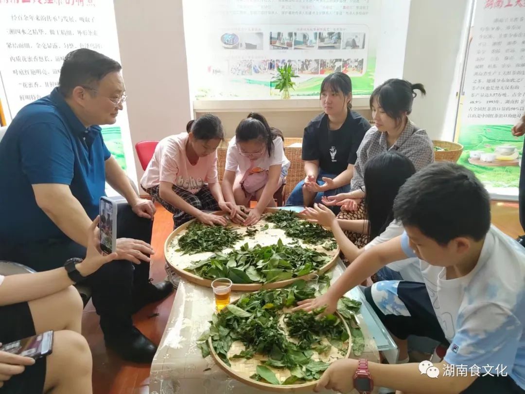 原載人民日?qǐng)?bào)“人民視點(diǎn)”茶葉是怎樣做出來(lái)的？湖南大、中、小學(xué)生體驗(yàn)湖南工夫紅茶制作
